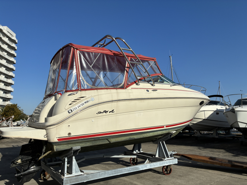 シーレイ 245写真