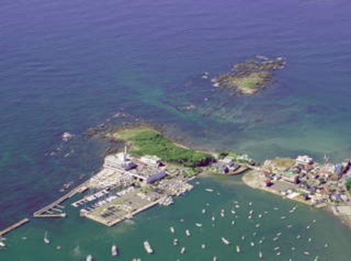 佐島マリーナ(株)