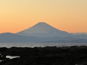 素敵な1年になりますように